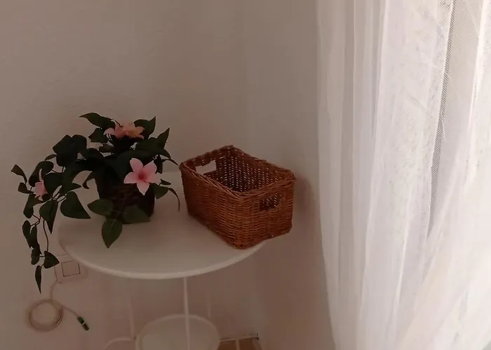 Apartment Penthouse With Solarium In The Center Of Malaga-atico Con Solarium En El Centro De *